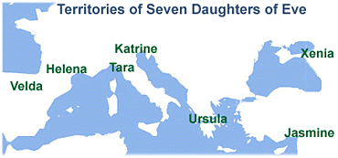 Seven Daughters of Eve.