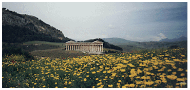 Temple and Fields