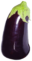 Aubergine (eggplant), main ingredient of caponata.