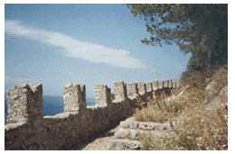 Medieval wall