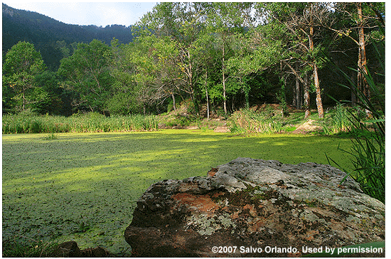 One of the Campanito Lakes.