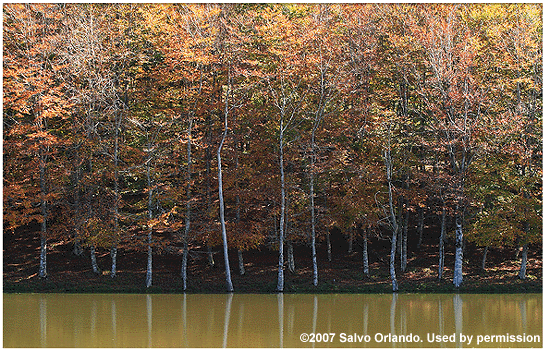 Lake Maulazzo in autumn.