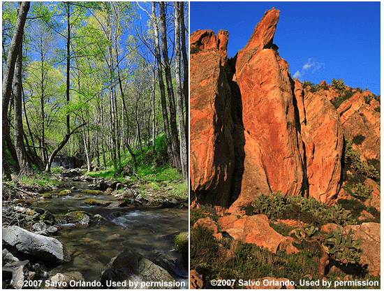 Nebrodi scene (left) and area between Sferro and Catenanuova (right).