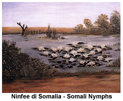 Ninfee di Somalia
