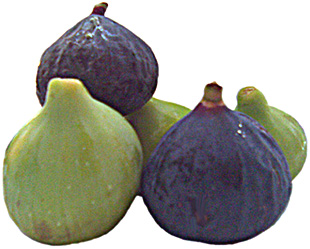 White and black figs of Sicily.