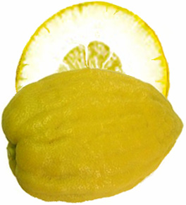 The citron.