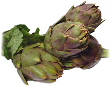 Native Sicilian artichokes.