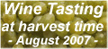 Taste the wines of Sicily and experience the harvest.