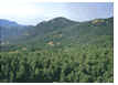 Read about nature in Sicily.